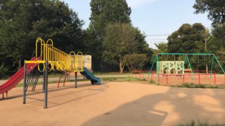 井の頭公園西園