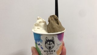 ハスキージェラート 吉祥寺