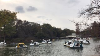 井の頭公園