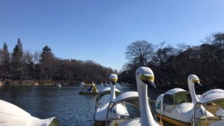 井の頭公園 ボート