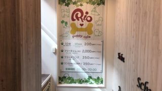 犬カフェRIO　吉祥寺