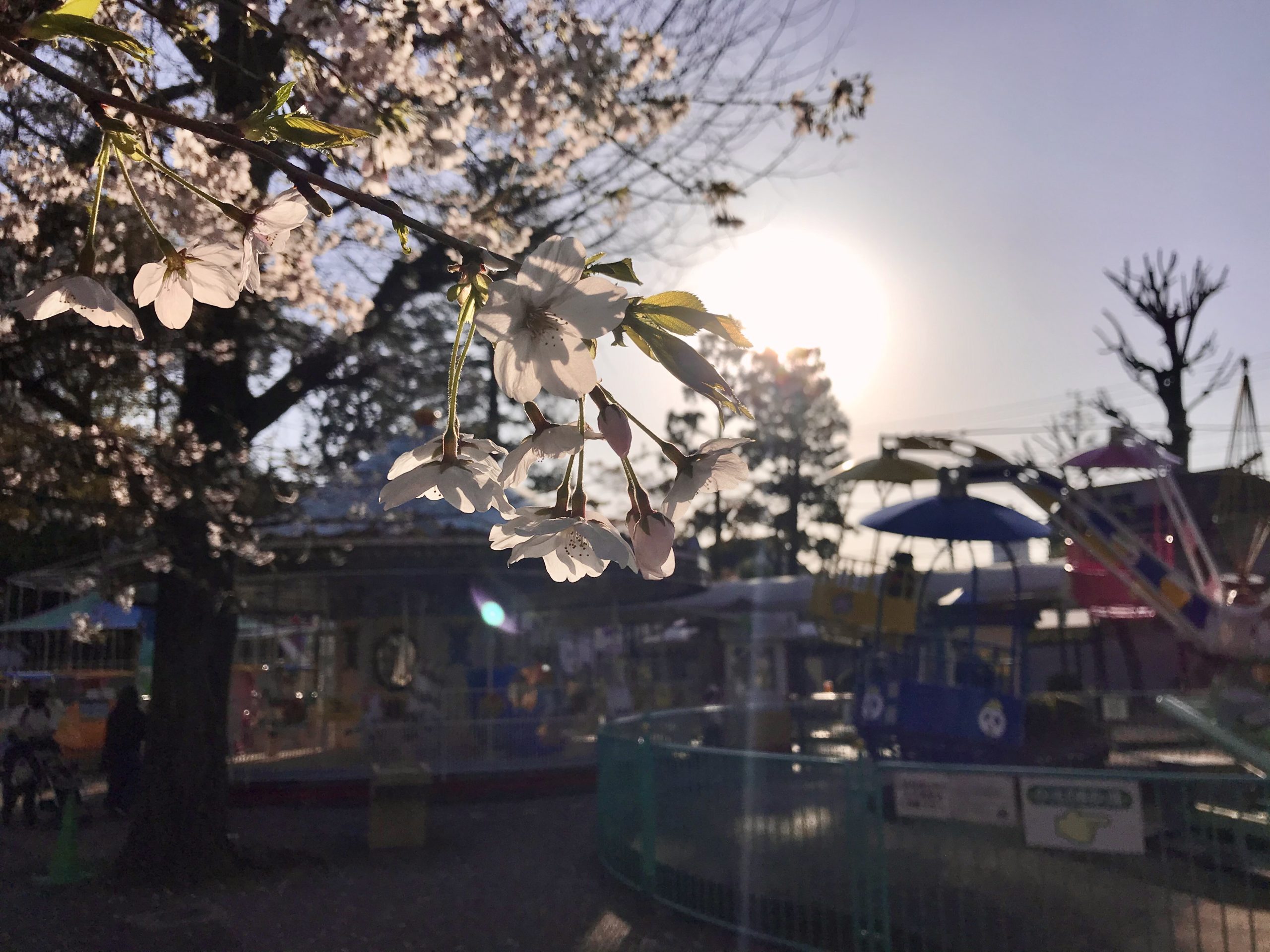 新型コロナ対策 吉祥寺 三鷹周辺でテイクアウト デリバリーができる飲食店 きちママ